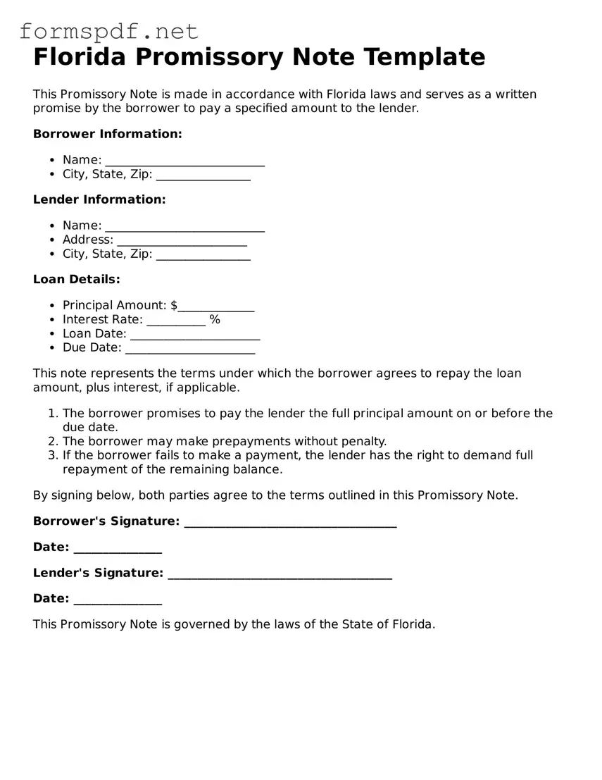 Free  Promissory Note Form for Florida