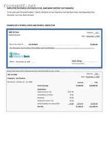 Free Payroll Check PDF Form