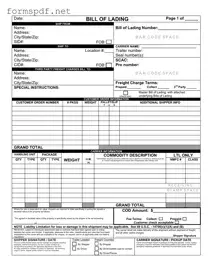 Free Bill of Lading with a Supplement PDF Form