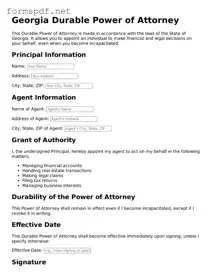 Free  Durable Power of Attorney Form for Georgia