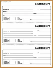 Free Cash Receipt PDF Form
